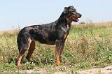 BEAUCERON 111